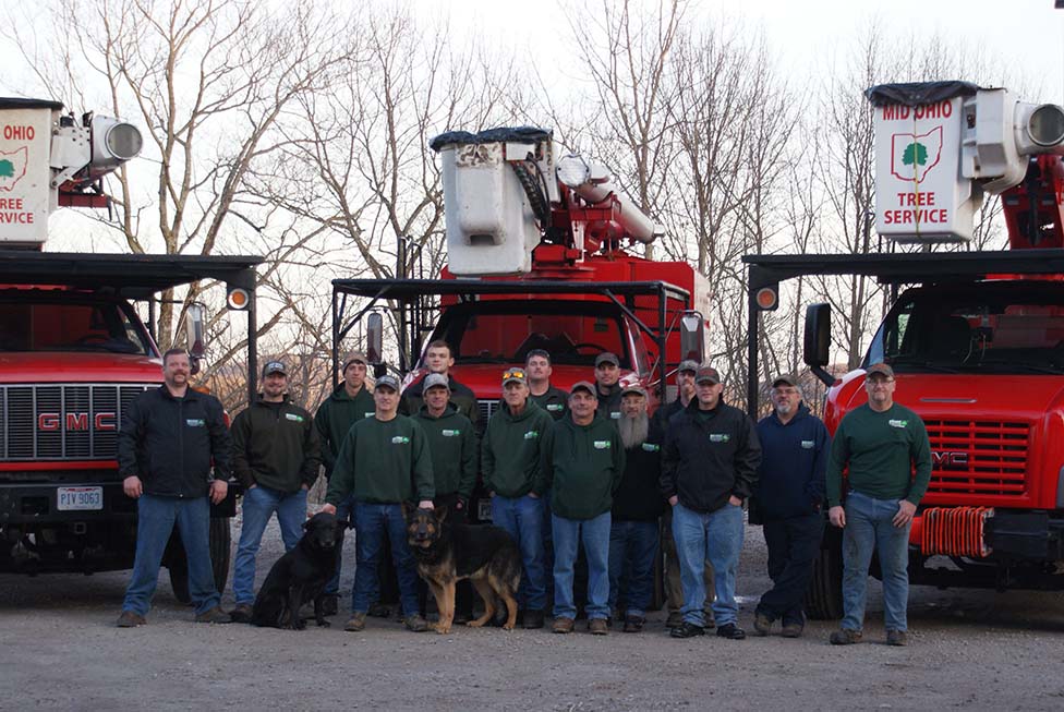 The Mid Ohio Tree Service crew standing in front of their bucket trucks