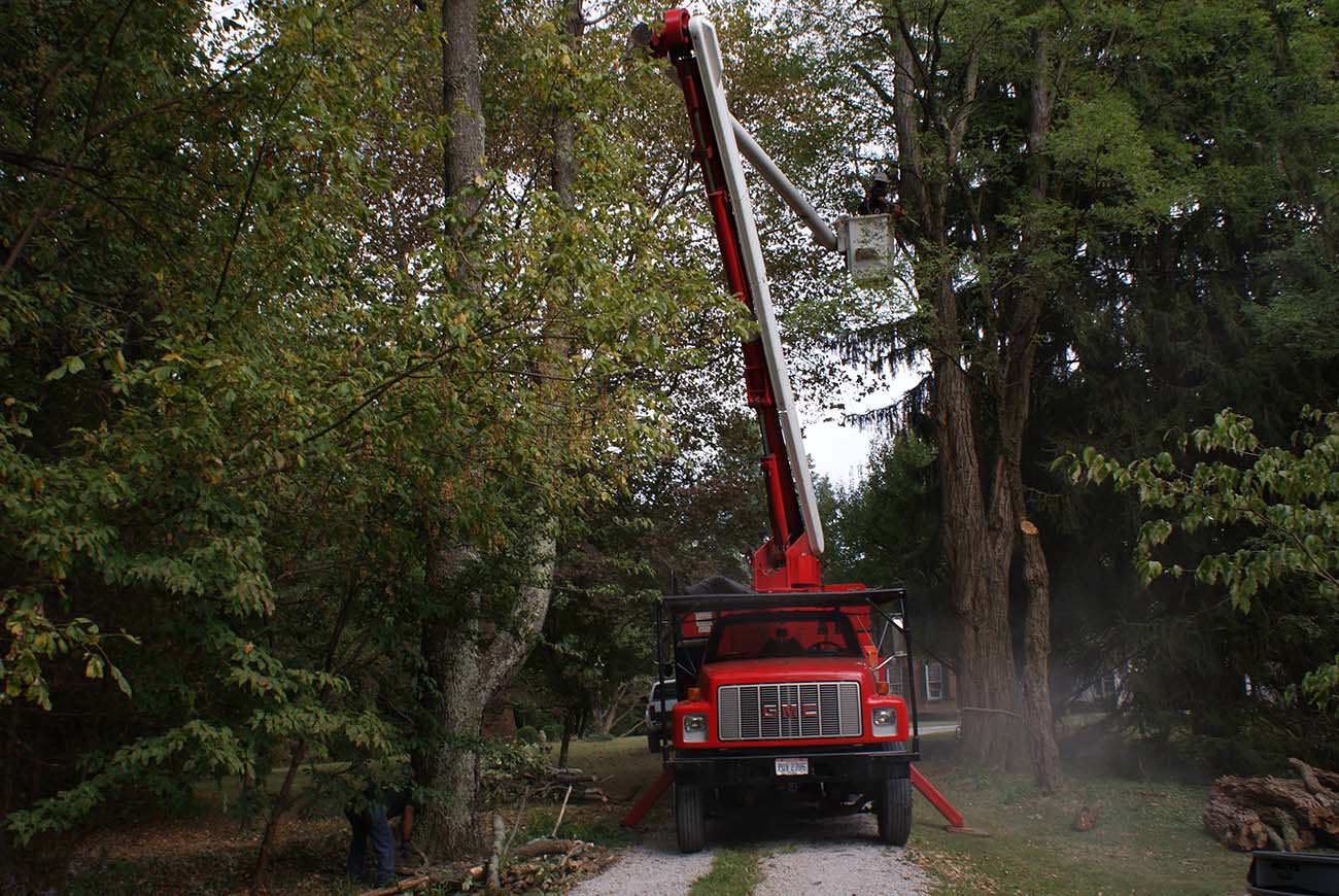 Mid Ohio Tree Service bucket truck trimming a large tree